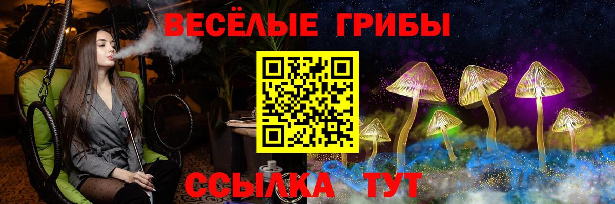 Галлюциногенные грибы мицелий  Вход с VPN  Кингисепп  Псилоцибиновые грибы MAGIC MUSHROOMS 