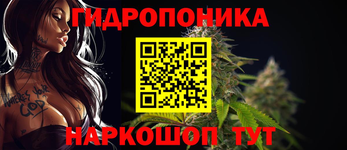Конопля OG Kush Кингисепп